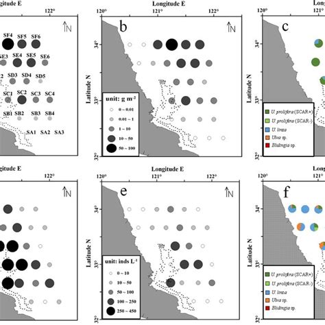 Pdf Distribution And Species Diversity Of The Floating Green