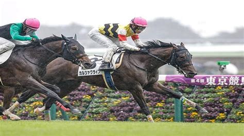 【東京5r新馬戦結果】ステラリアの半弟カルツァクラインがデビューv！ 2023年10月15日掲載 ライブドアニュース