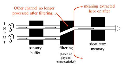 Selective Attention Theory Broadbent Treisman S Attenuation Model