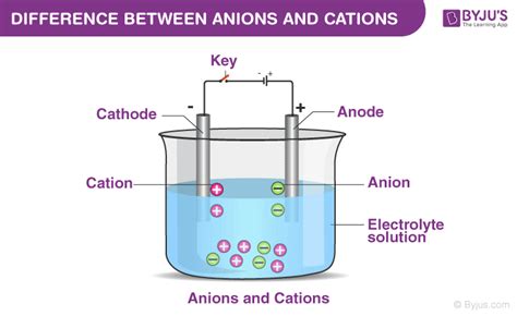 Cations And Anions Difference Between Anions And Cations With Examples