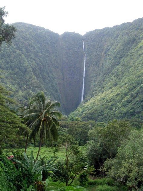 15 Amazing Waterfalls In Hawaii The Crazy Tourist Artofit