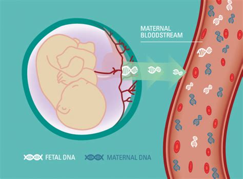 Harmony Prenatal Test Technology