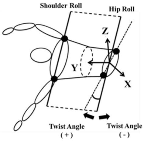 Relationship Between Swimming Velocity And Trunk Twist Motion In Short