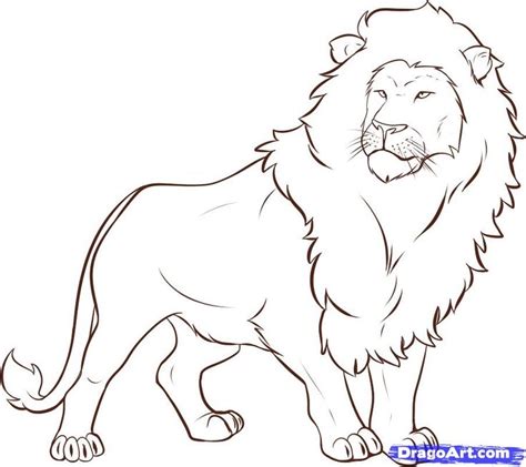 The Best Animal Drawing Easy Lion Ideas - Enearth