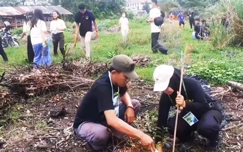 Aksi Pendaki Tanam Pohon Di Sektor Promasan Gunung Ungaran Indo