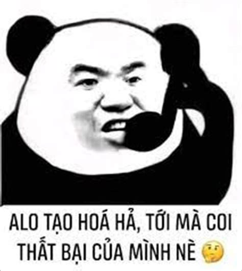 Tổng Hợp Meme Ngu Hài Hước Bá đạo