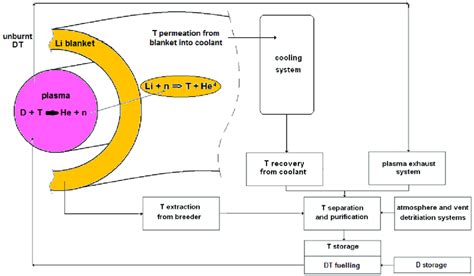 Schematic Of The Main Subsystems Of The Fusion Fuel Cycle Download