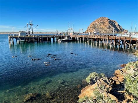 15 Fun Things To Do In Morro Bay Californias Hidden Gem Traveling Ness