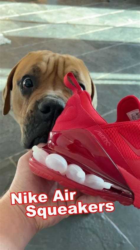 Good Idea I Made Nike Air Squeakers For My Blind Dogs Dogs Rocky