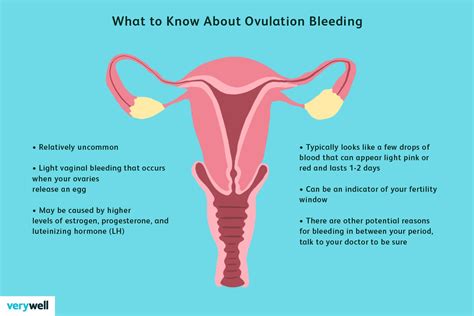 Vaginal Discharge During Ovulation