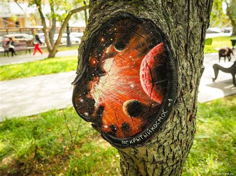 «Скрытый космос» Анастасии Тимофеевой. Необычные рисунки на деревьях в ...