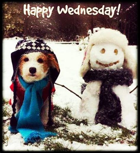 Dog And Snowman Happy Wednesday Image Pictures Photos And Images For