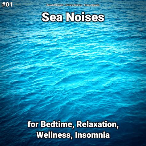 Sea Noises Part Song And Lyrics By Coastal Sounds Nature Sounds