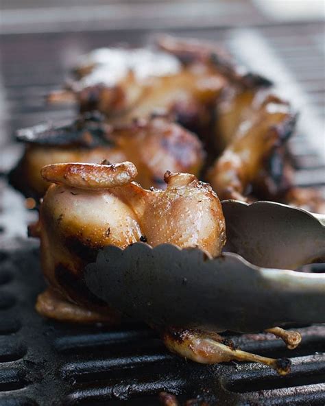 Grilled Quail Recipe Indian Dandk Organizer