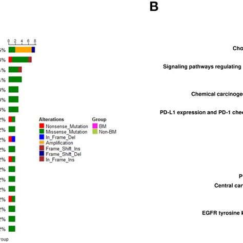 Mutational Landscape And Kegg Pathways A Mutational Landscape Of