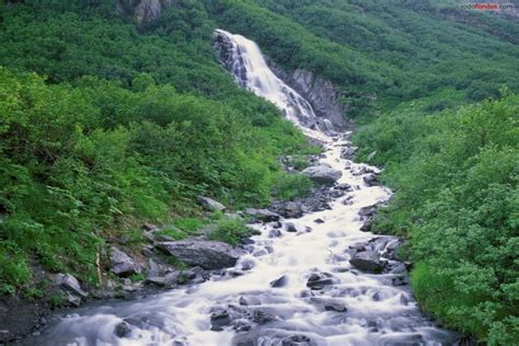 Agua Fluyendo De La Monta A