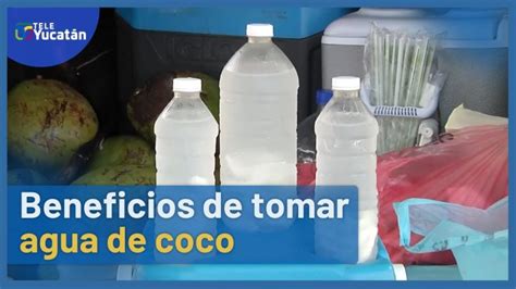 Descubre Por Qu Beber Agua De Coco Es La Opci N M S Saludable Para