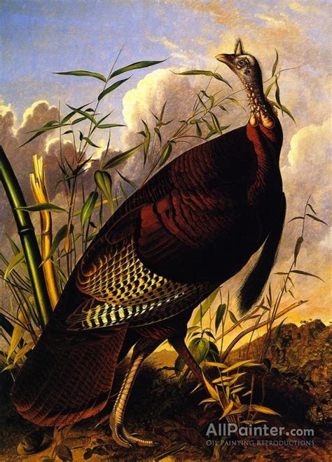 John James Audubon Wild Turkey Oil Painting Reproductions For Sale