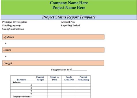 Project Status Report Template - Free Report Templates