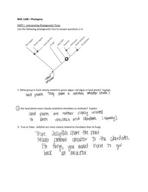 Biol Lab Practical Ii Review Guide Sp Biol Lab