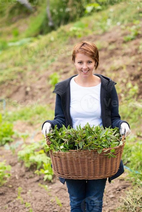 woman gardening view 10951708 Stock Photo at Vecteezy