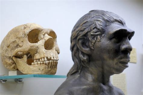 Lhomme de Neandertal modifiait déjà son environnement il y a 125 000 ans