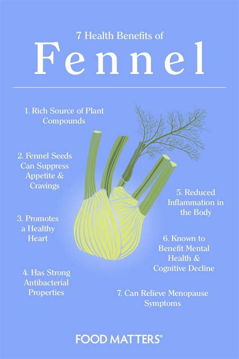 7 Health Benefits Of Fennel Improve Your Well Being With Fennel