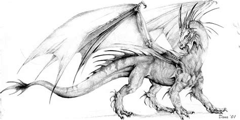 Dragon Body Drawing