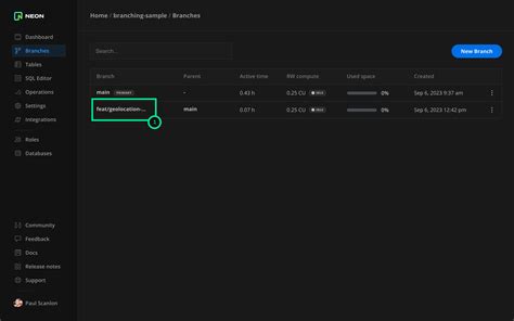 Premiers pas avec le branchement Neon