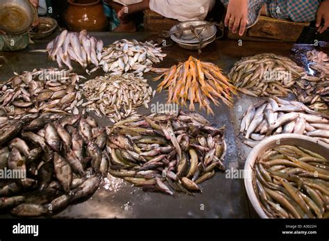 A fish market in Dhaka Bangladesh Stock Photo - Alamy