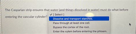 Solved The Casparian strip ensures that water (and things | Chegg.com