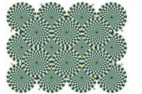 Test De Personnalit Ce Que Vous Voyez En Premier Dans Cette Illusion