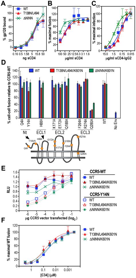 Receptor Binding Properties And C Susceptibility Of Revertants A