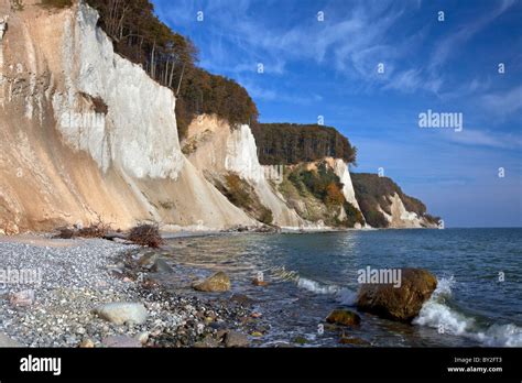 Chalk cliffs and beach in Jasmund National Park on Rugen / Rügen Island on the Baltic Sea ...