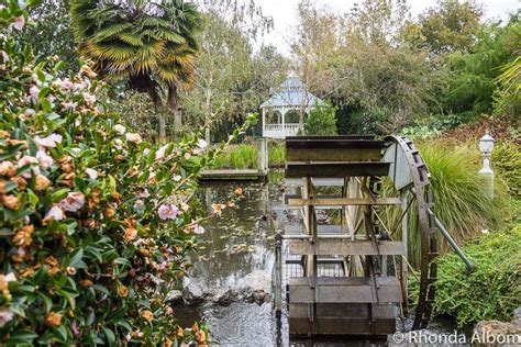 Ngatea Water Gardens: Nature with a Sense of Humour in New Zealand