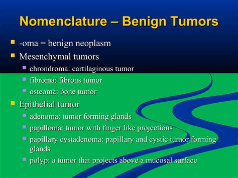 Pathology Neoplasm Ppt