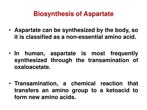 Ppt Biosynthesis Of Amino Acids Powerpoint Presentation Free