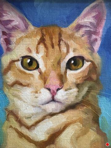 Adopt404 By Katya Minkina Oil 8 X 6 Cat Portrait Painting Cat