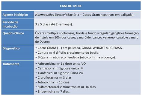 Hpv E Cancro Mole Cl Nica J Carvalho