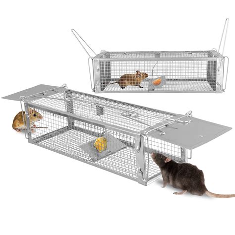 Amazon KOCASO Humane Rat Trap Large 2 Door Mouse Trap That Work