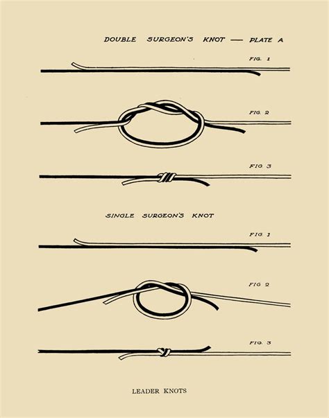 Printable Fly Fishing Knots Printable Templates