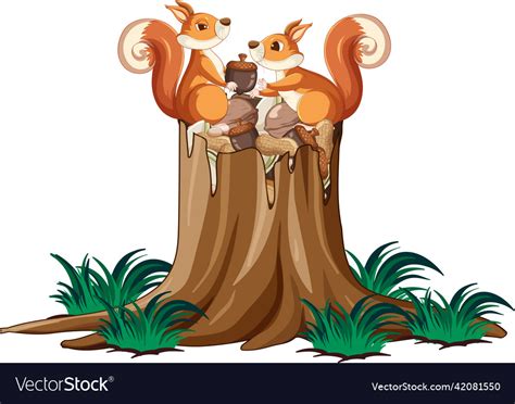 Two Squirrels And Nuts In Garden Royalty Free Vector Image