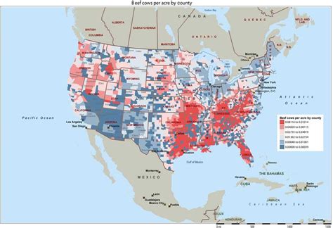 Beef Cows Per Acre By County United States Beef Cow Cow Map