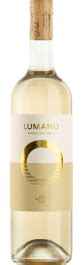 2022 Lumano Bianco Ticino DOC Tamborini Mövenpick Wein Shop