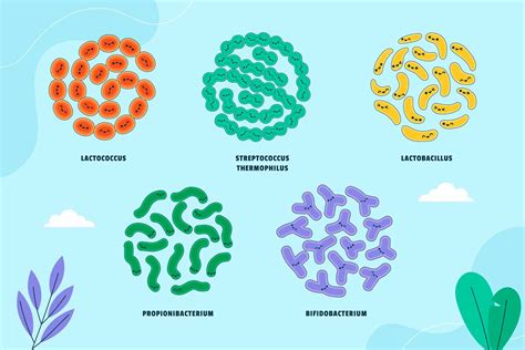 Salmonelosis Cuáles son sus síntomas y cómo se contagia