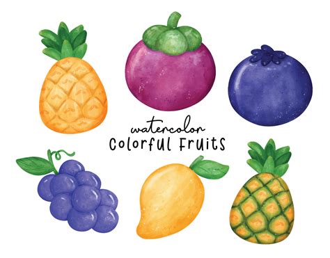 Colorful Watercolor Tropical Fruits Illustration Hand Drawn Exotic