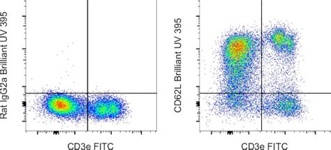 Cd62l L Selectin Monoclonal Antibody Mel 14 Brilliant Ultra Violet