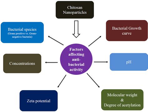 Processes Free Full Text Antibacterial Activity Of Chitosan