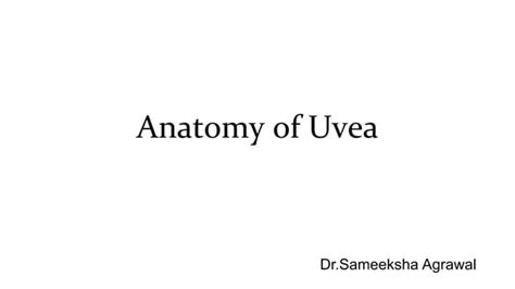 Anatomy Of Uvea Ppt