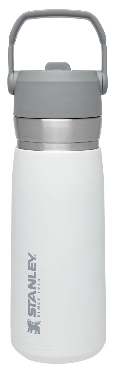 Stanley Flip Straw Insulated Stainless Steel Water Bottle, 22 oz ...